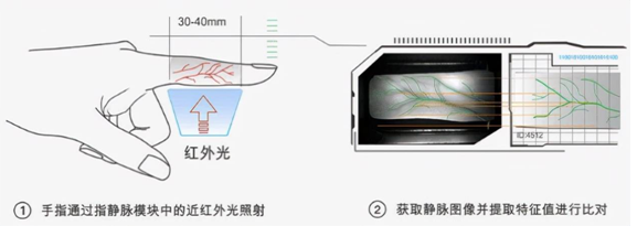 BWIN·必赢(中国)唯一官方网站语音芯片助力指静脉识别锁实现语音播放功能！(图1)