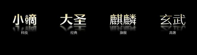 BWIN·必赢(中国)唯一官方网站德施曼震撼发布多款高端旗舰新品引领智能锁进入A(图7)